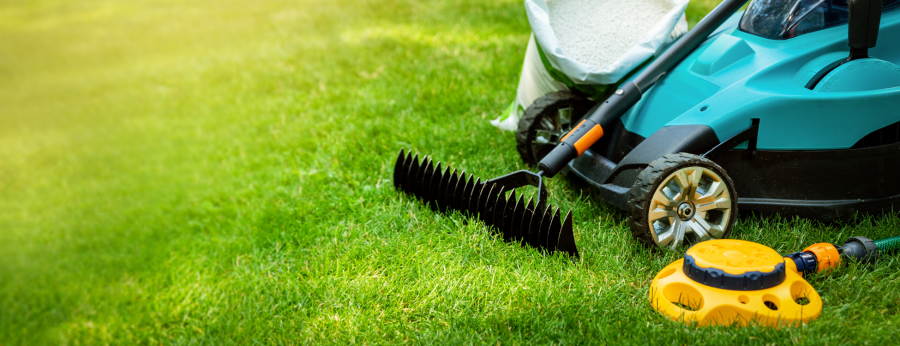 Consigli Per Lattrezzatura Da Giardinaggio